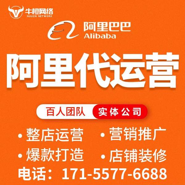 邳州电商代运营