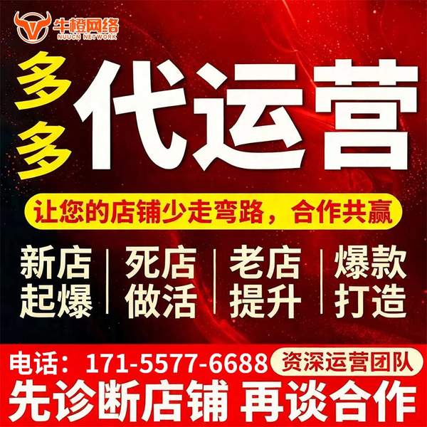 邳州电商代运营