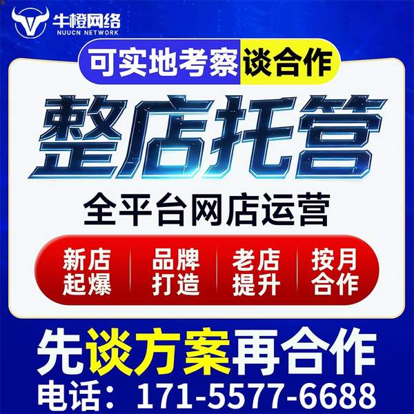 邳州电商代运营