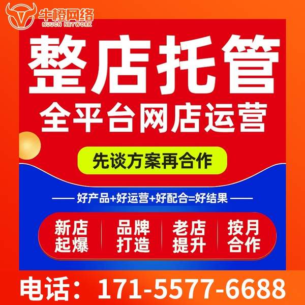 邳州电商代运营