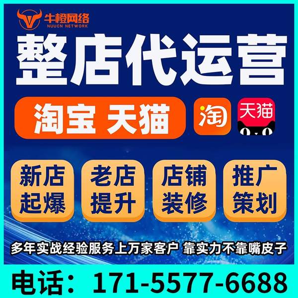 邳州电商代运营