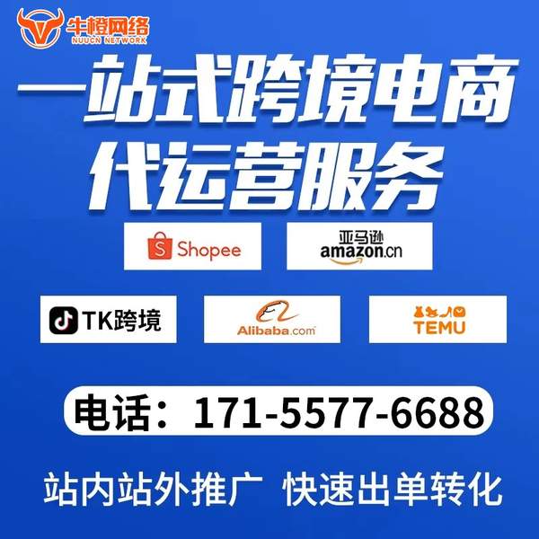 邳州电商代运营