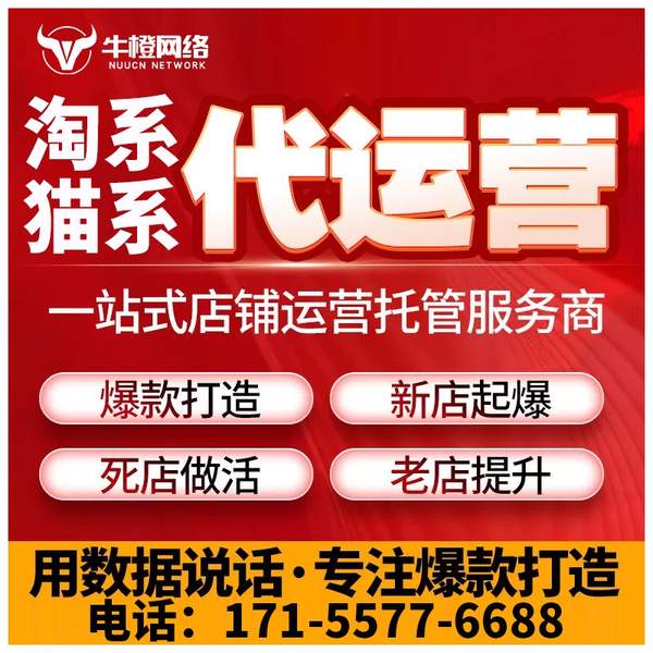 邳州电商代运营